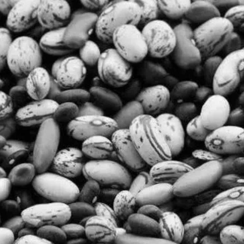 Beans (1kg)